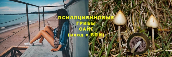 ECSTASY Осинники